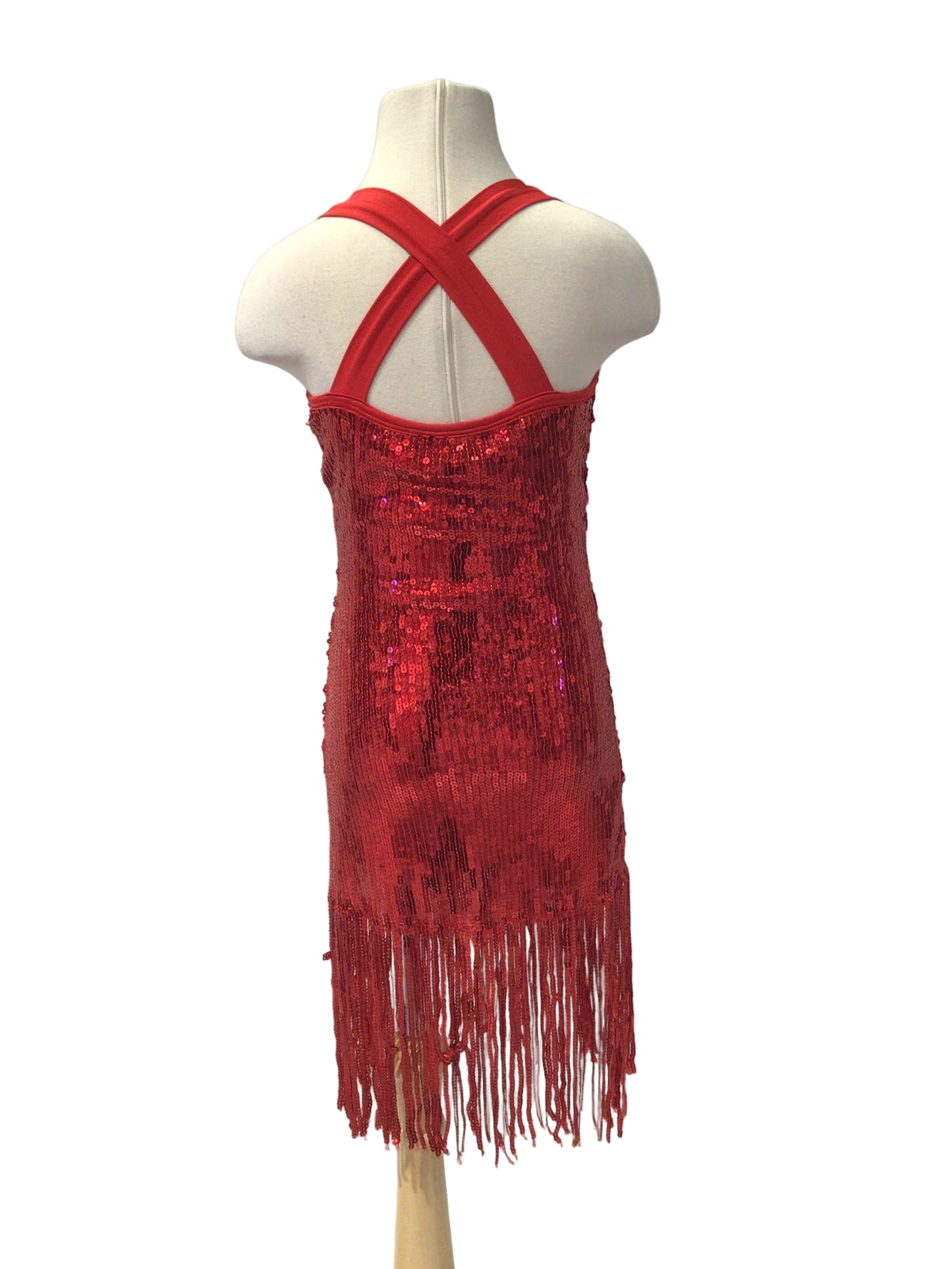 Red Sequin Dress with Fringe