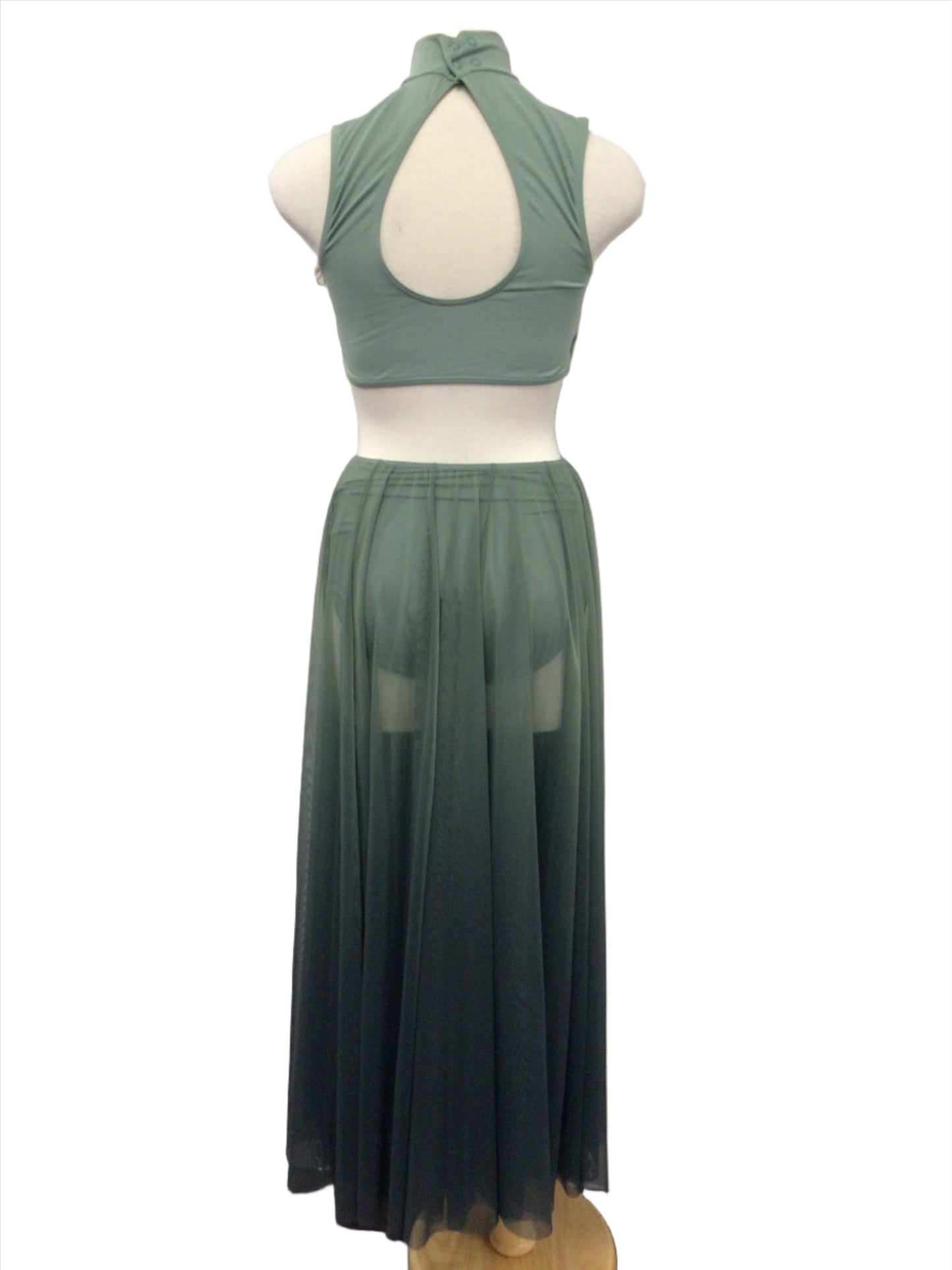 Green Ombre Long Lyrical Dress