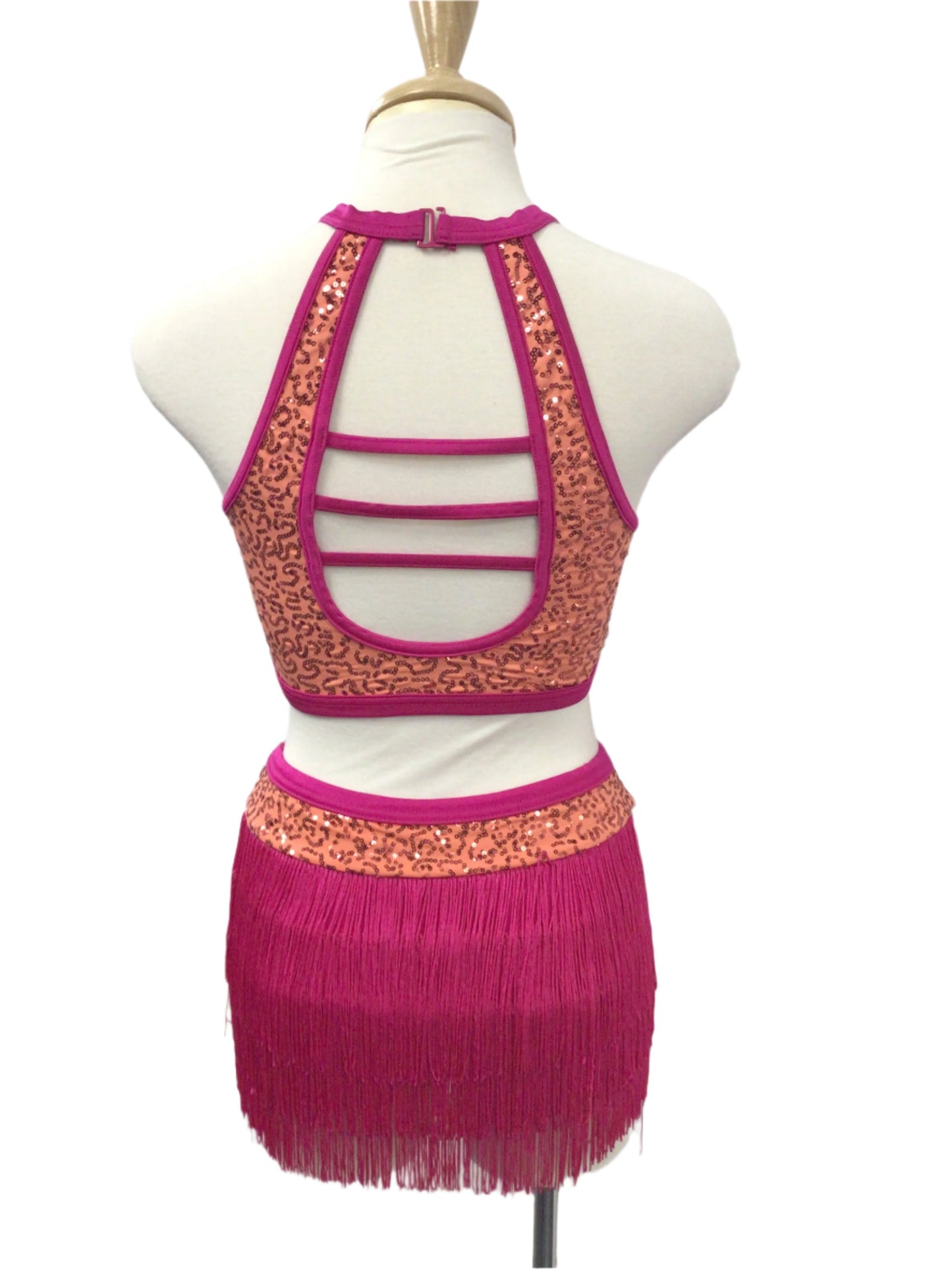 Pink Fringe Crop Top and Skirt