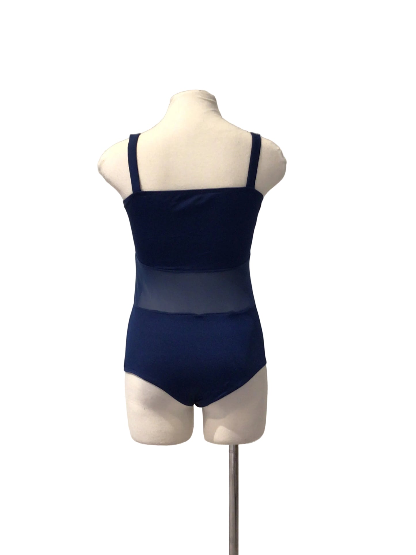 Two Piece Contemporary Blue Leotard and Mesh Pants Costume