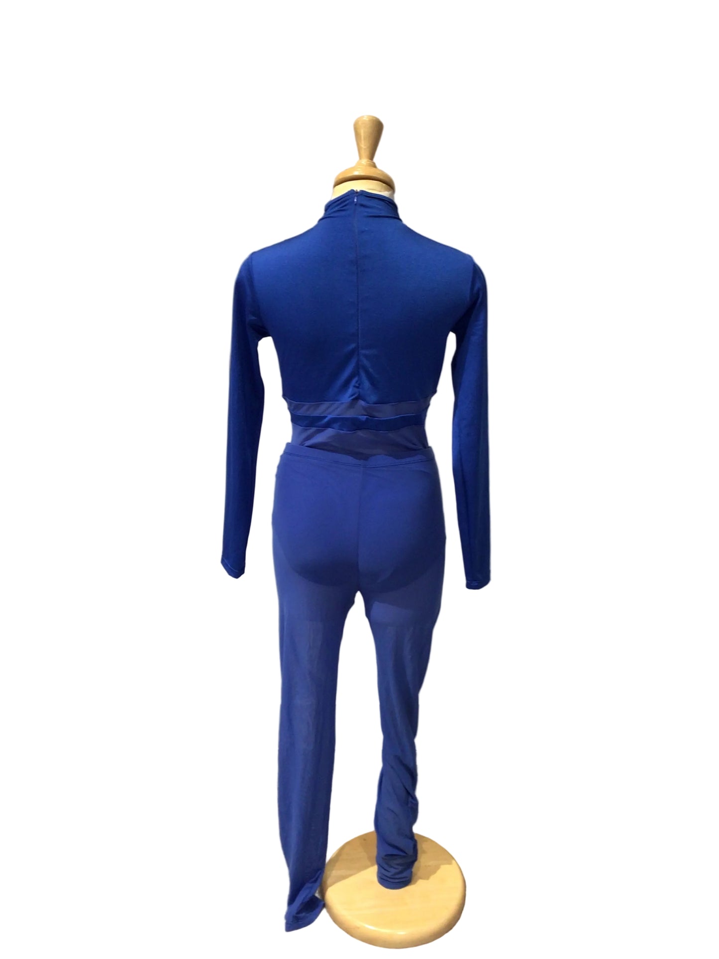 Royal Blue Long Sleeve Unitard with Mesh Pants