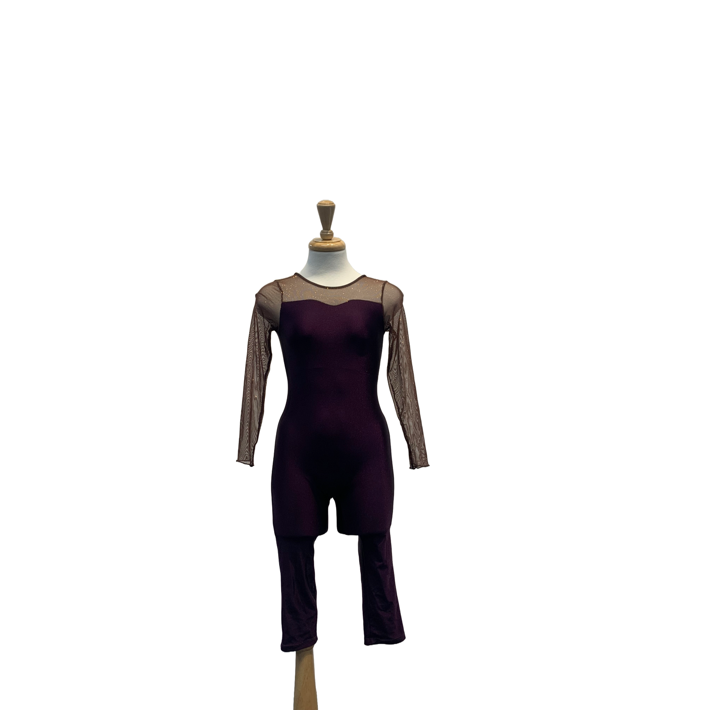 Purple Unitard with Mesh Sleeves