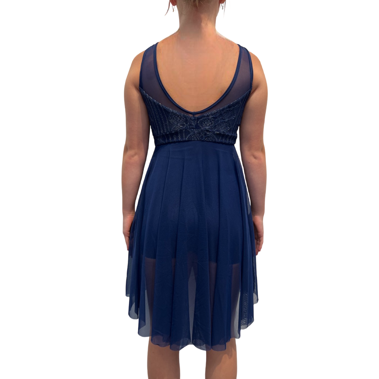 Lyrical Blue Mesh Dress With Gold Brocade