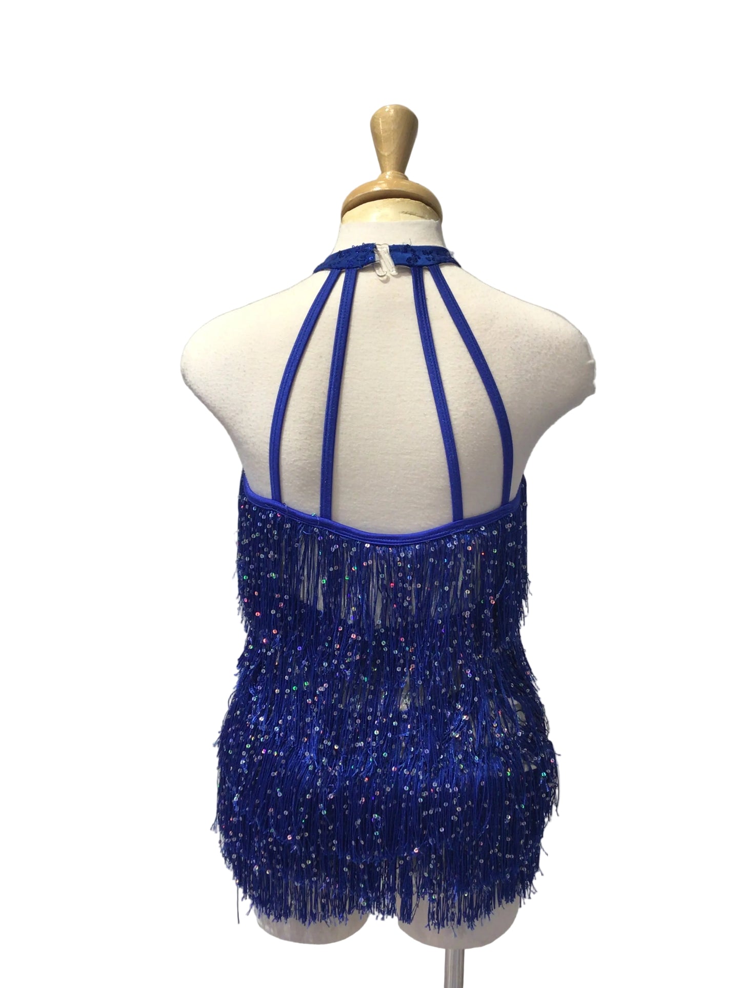 Silver and Blue Fringe Dress