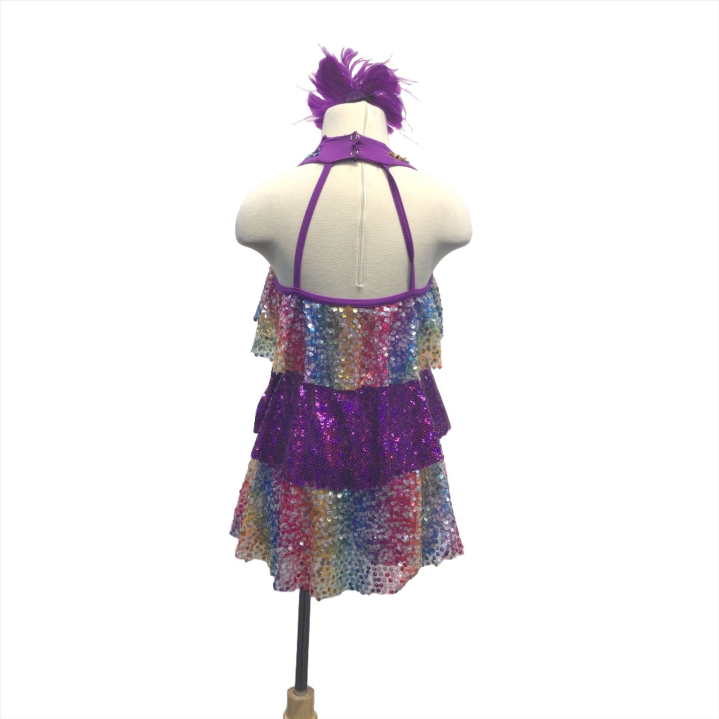 Ruffles and Sparkles Biketard