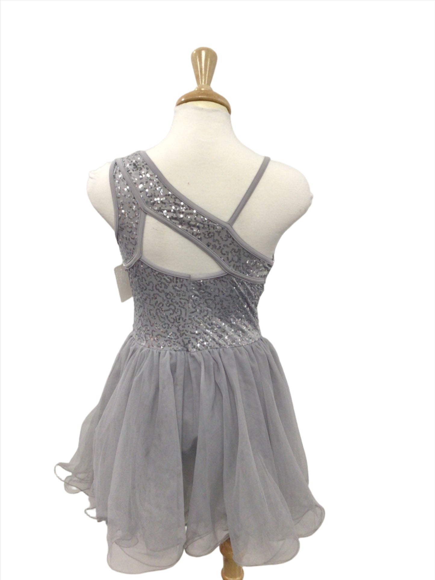 Grey Lyrical Dress with sequins
