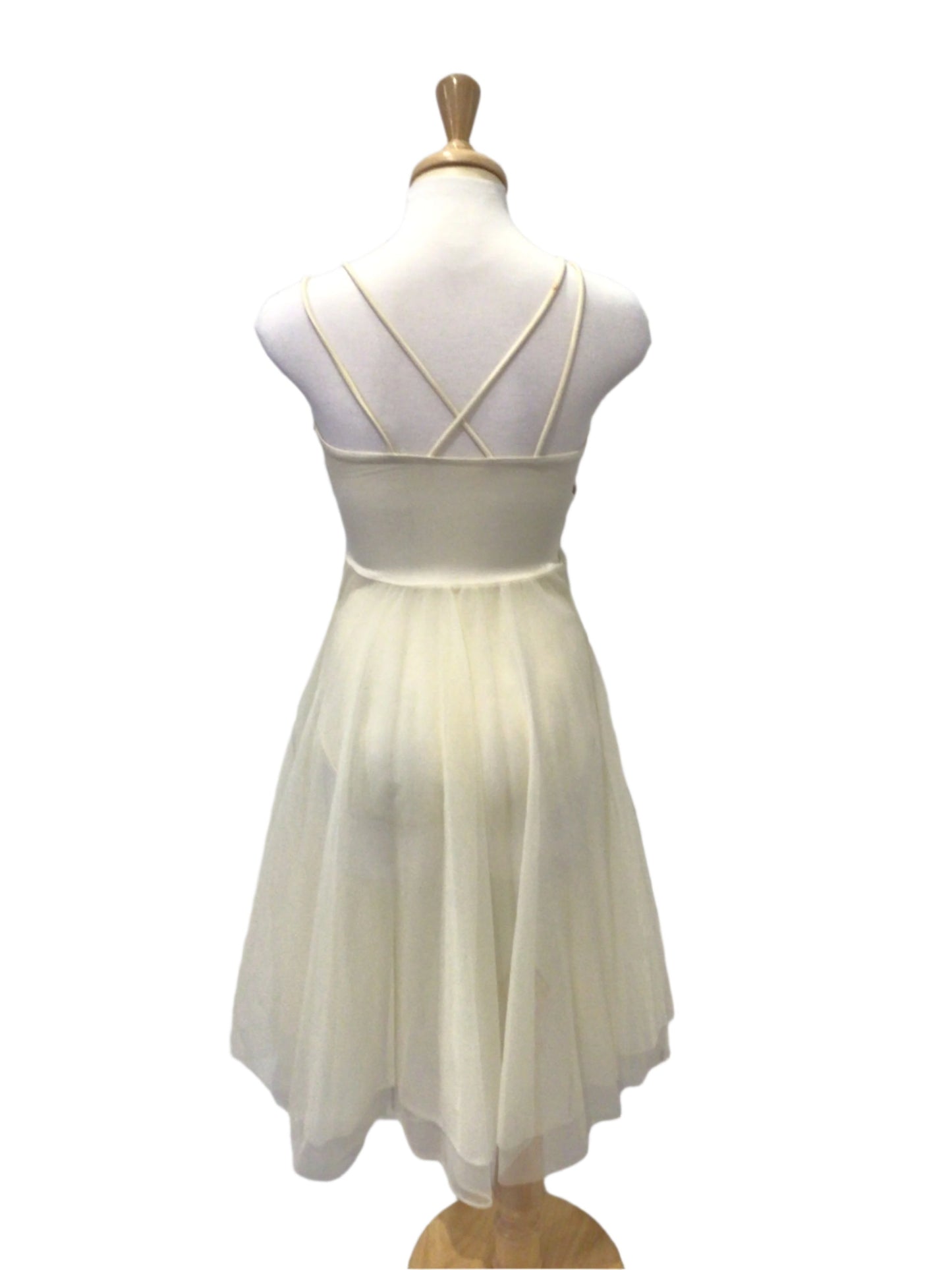 Cream and Bronze Ballet Dress