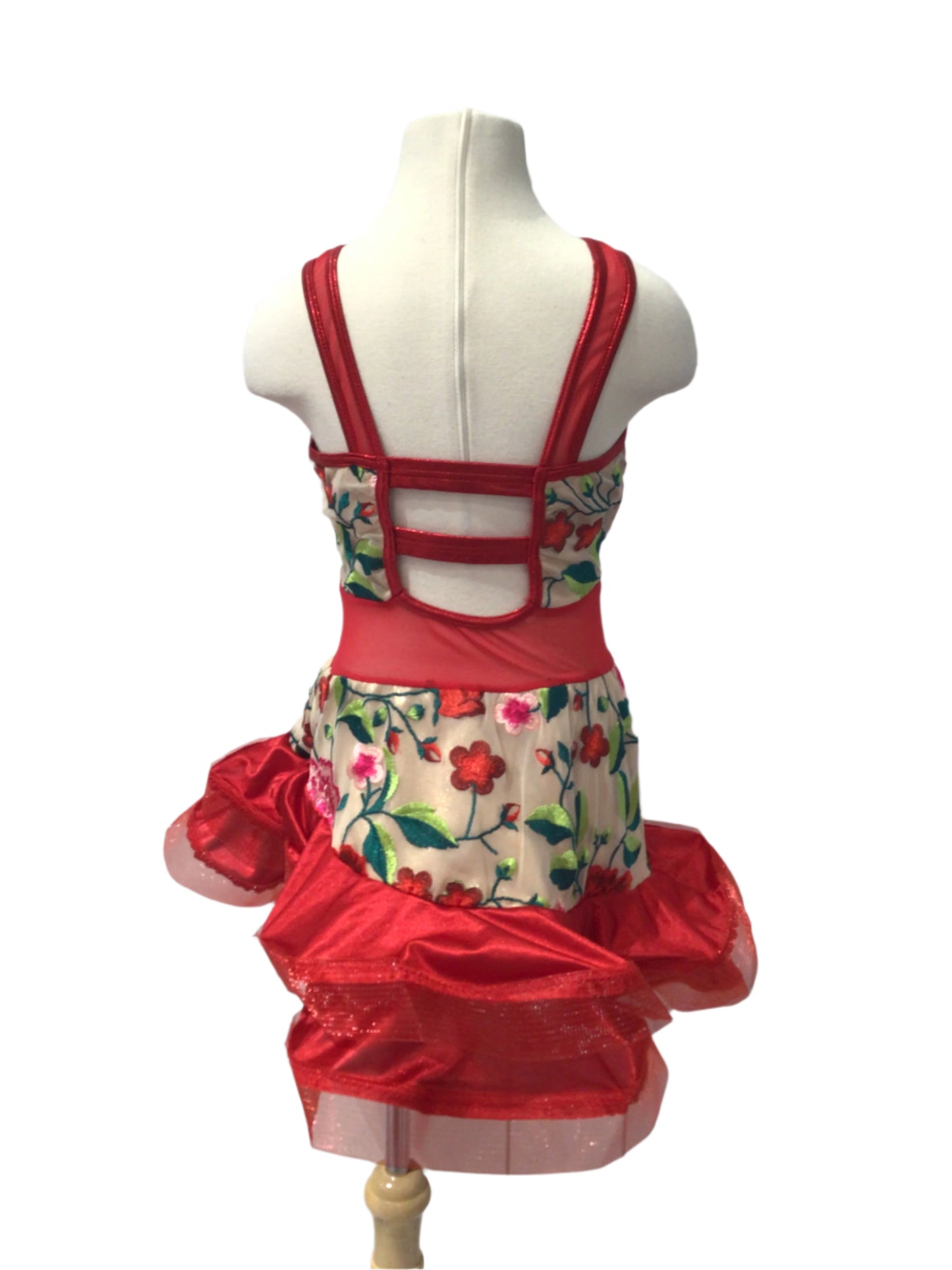 Fuchsia Pink Mesh and Rose Dress