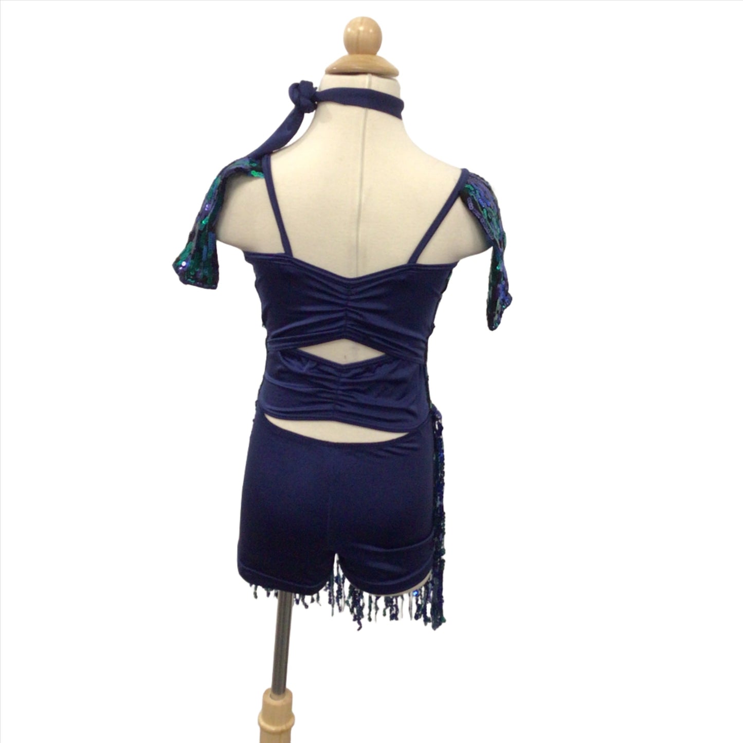 Teal and Blue Biketard with Sequin Fringe
