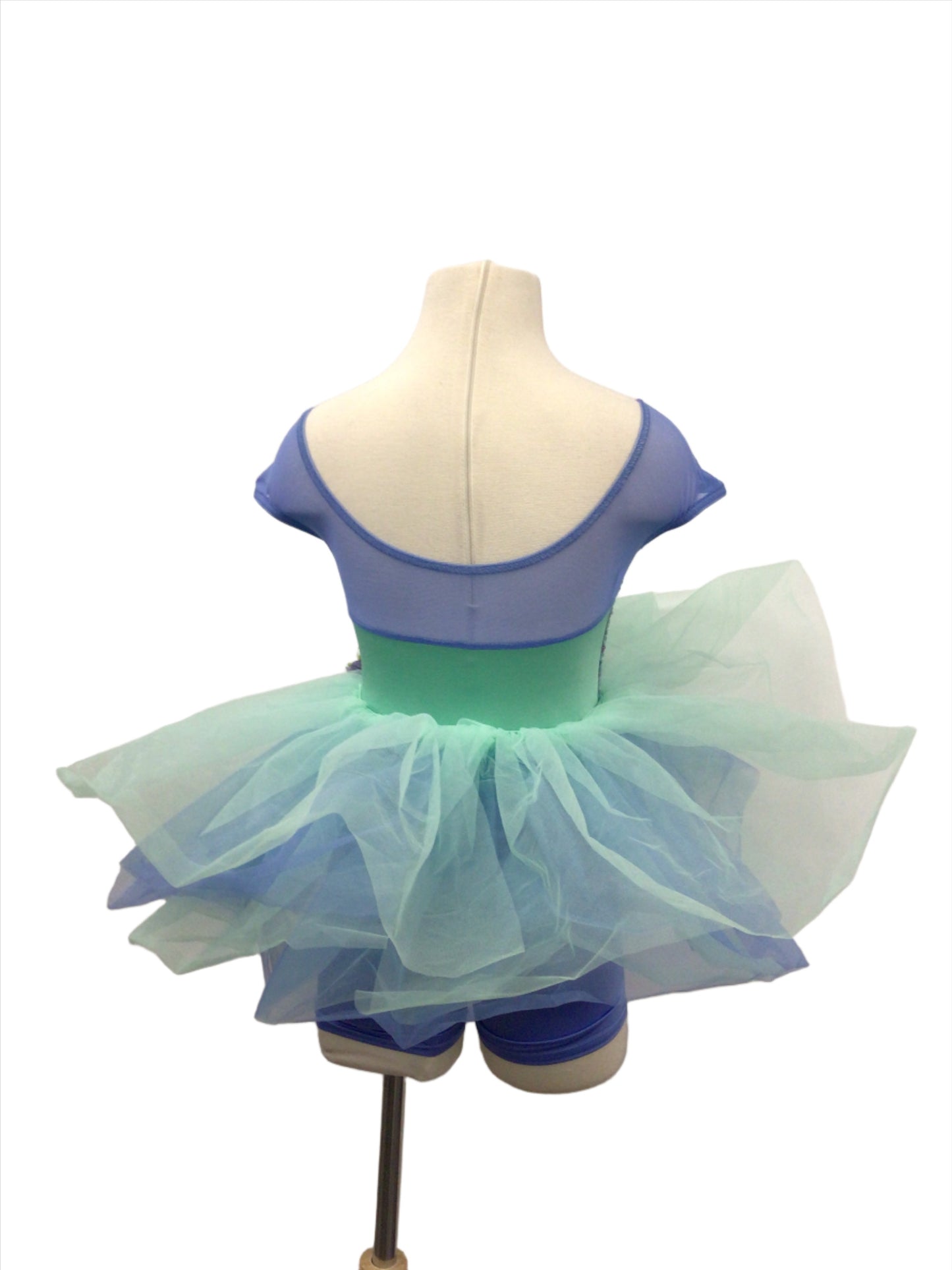 Blue Biketard with Fringe Skirt and Blue Tutu