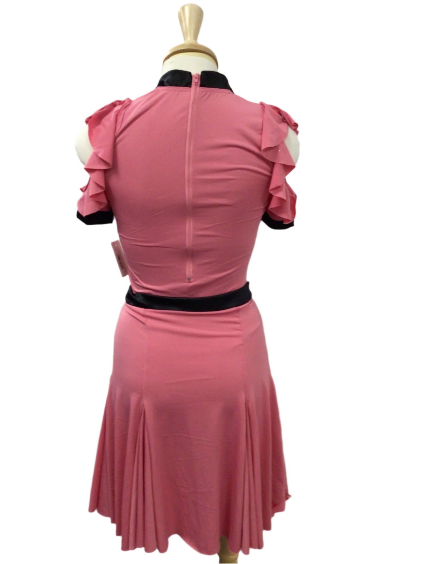 Pink and Black Swing Dress