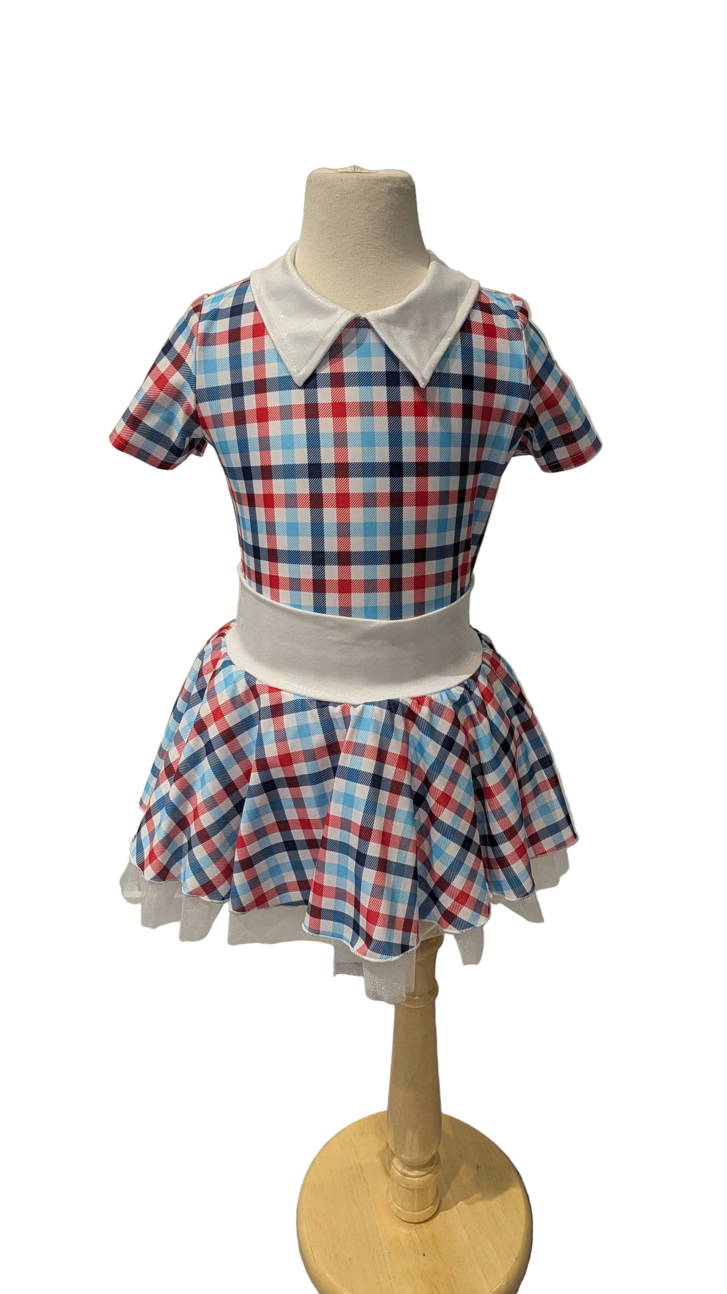 Blue and Red Gingham Costume