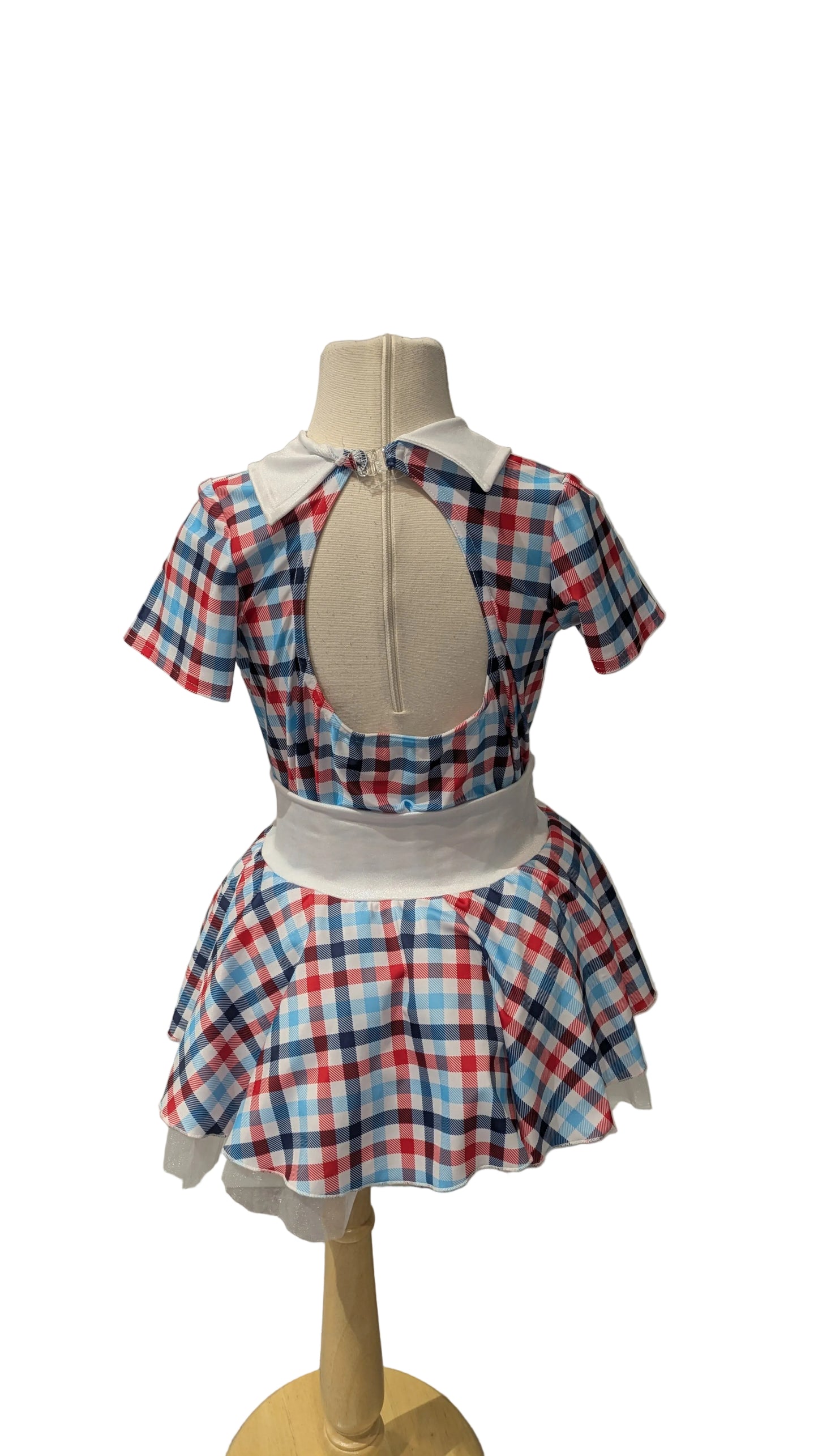 Blue and Red Gingham Costume