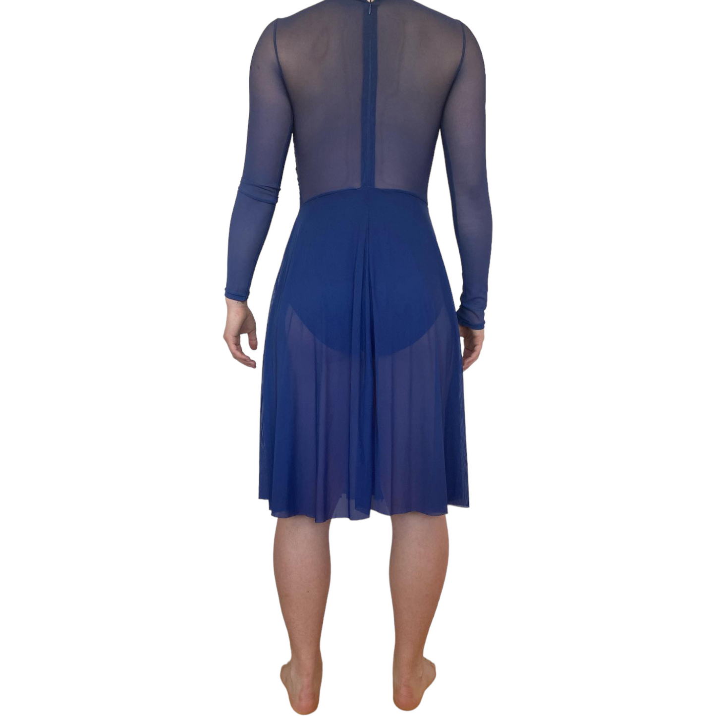 Blue Long Sleeve Mesh Mid Length Lyrical Dress