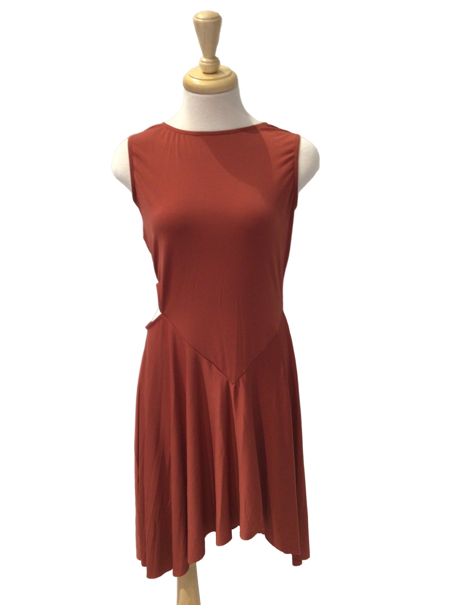 Burnt Orange Lyrical Dress