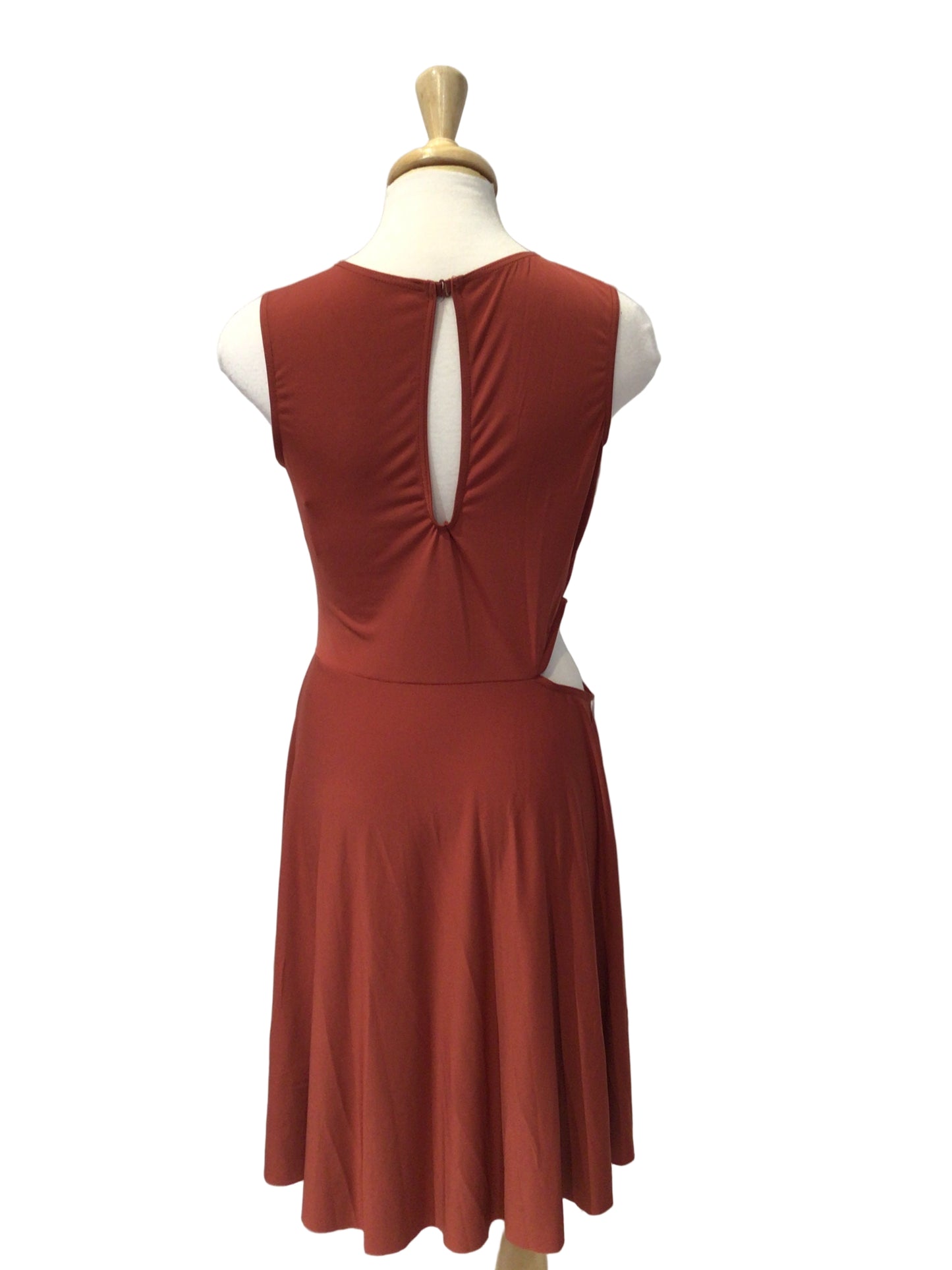 Burnt Orange Lyrical Dress