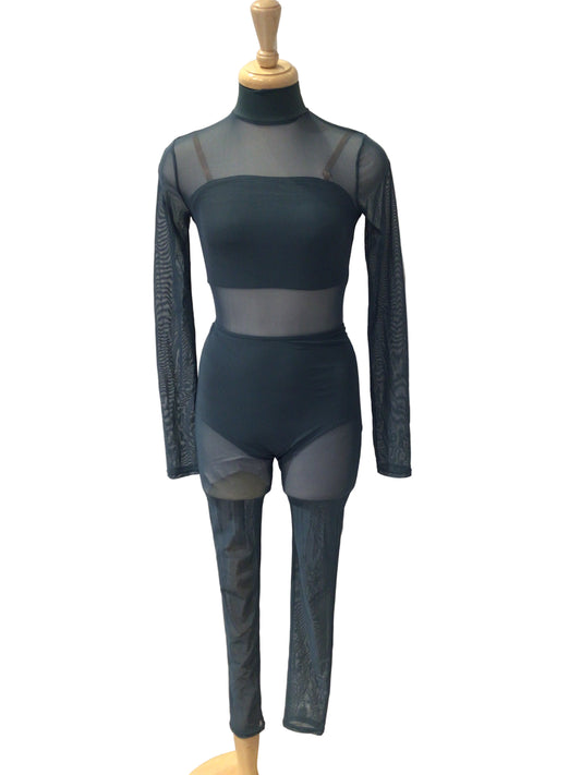 Blue Mesh Unitard