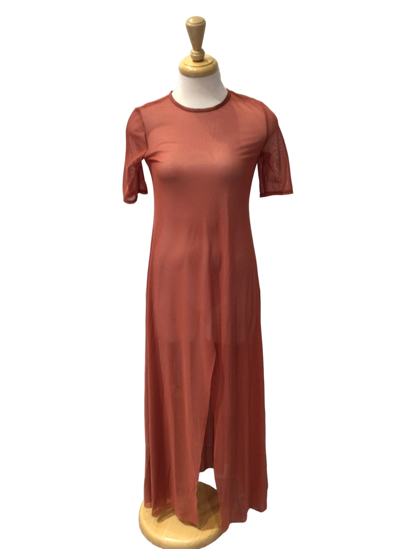 Rust Coloured Mesh Dress