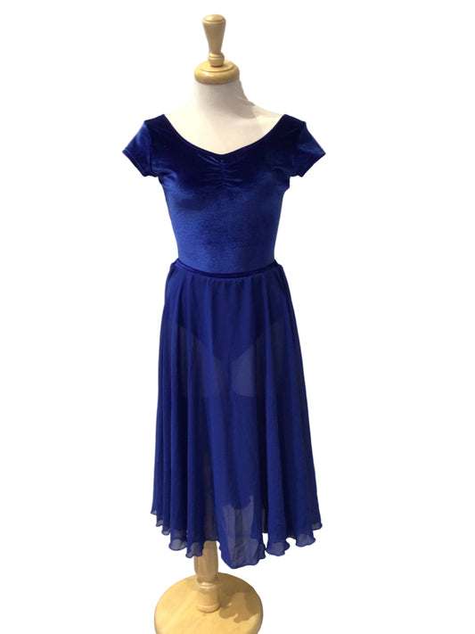 Royal Blue Velvet Bodysuit and Skirt