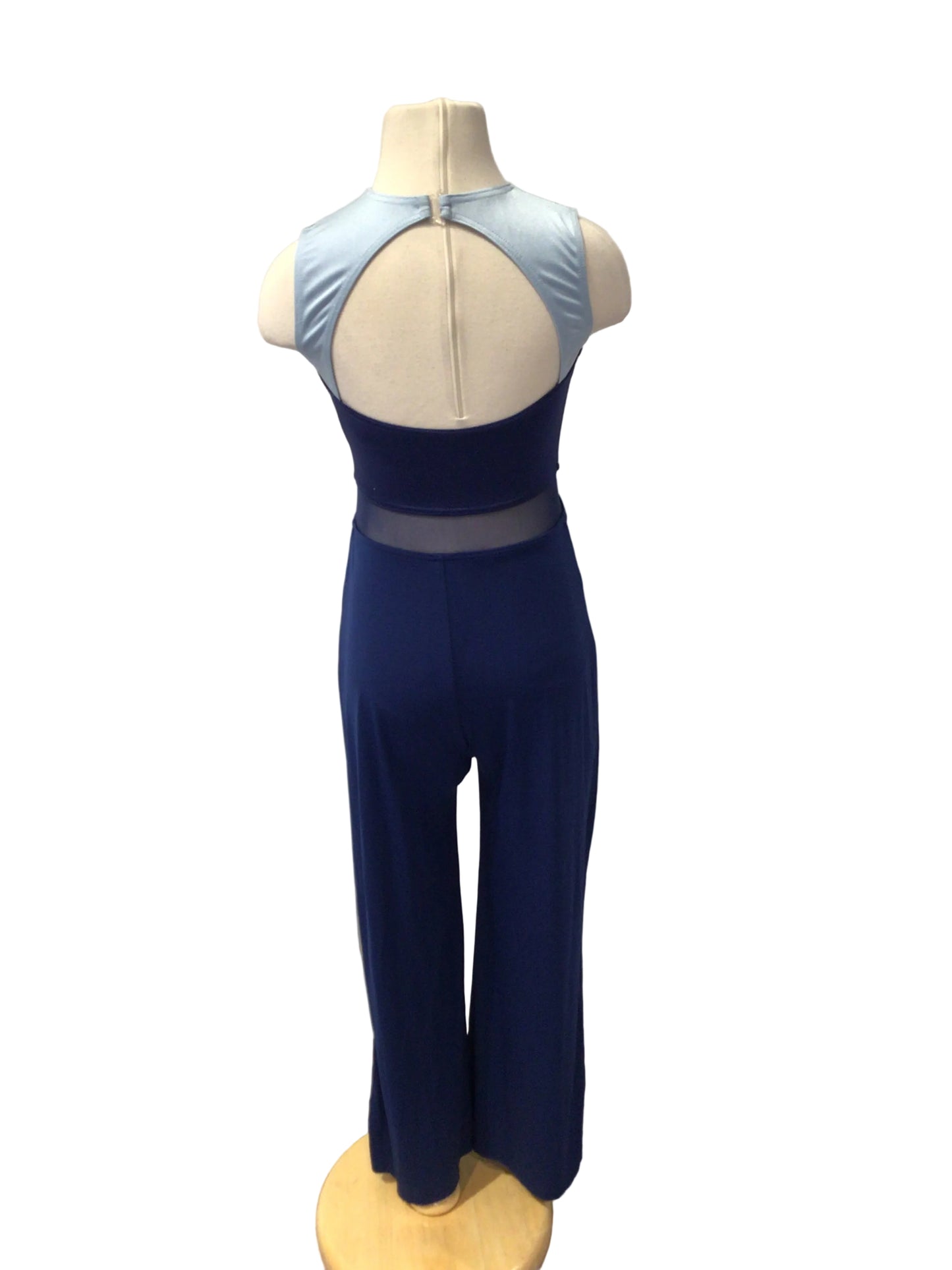 Blue Unitard with Stripes