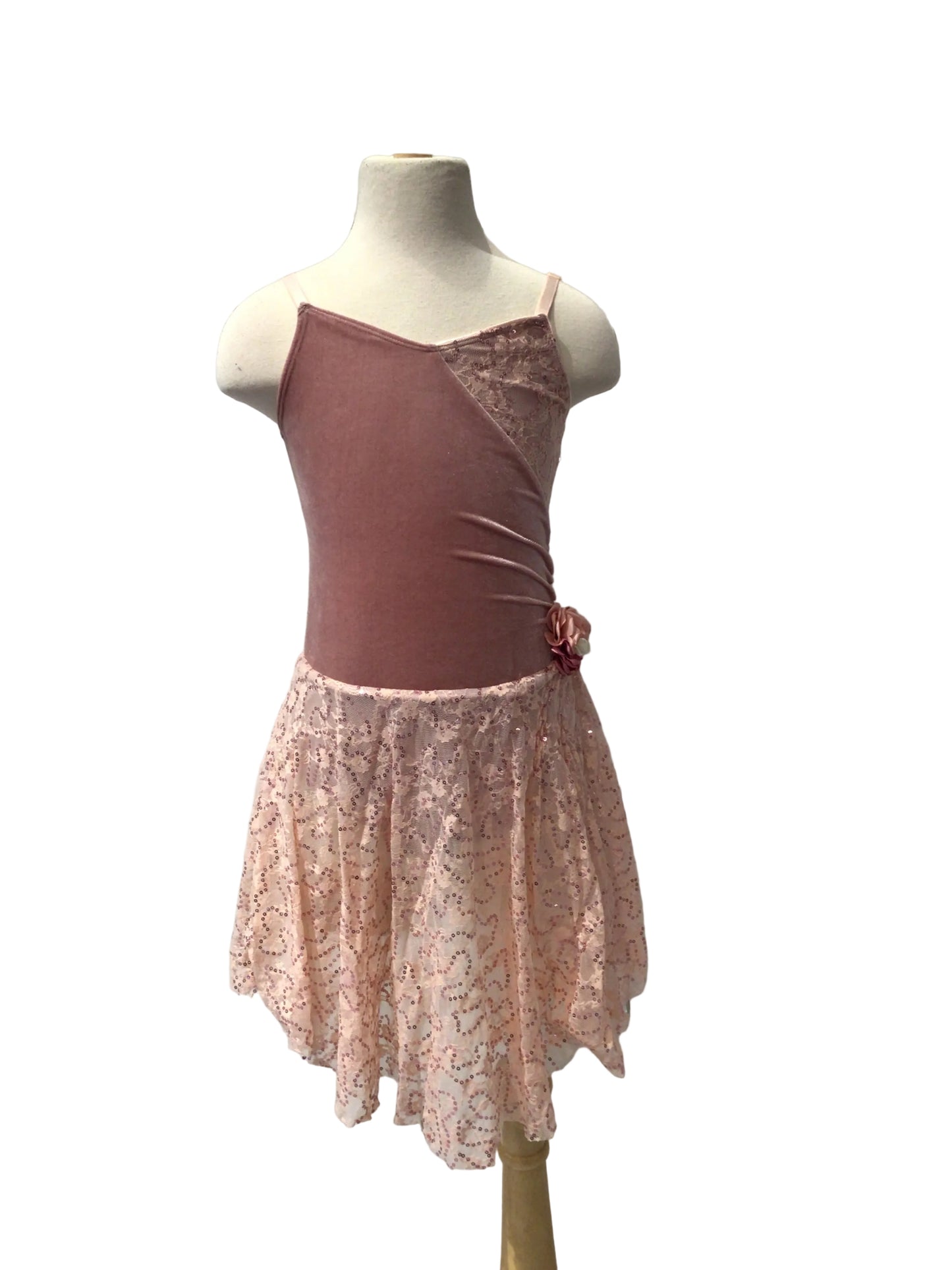 Light Pink Velvet Ballet Dress