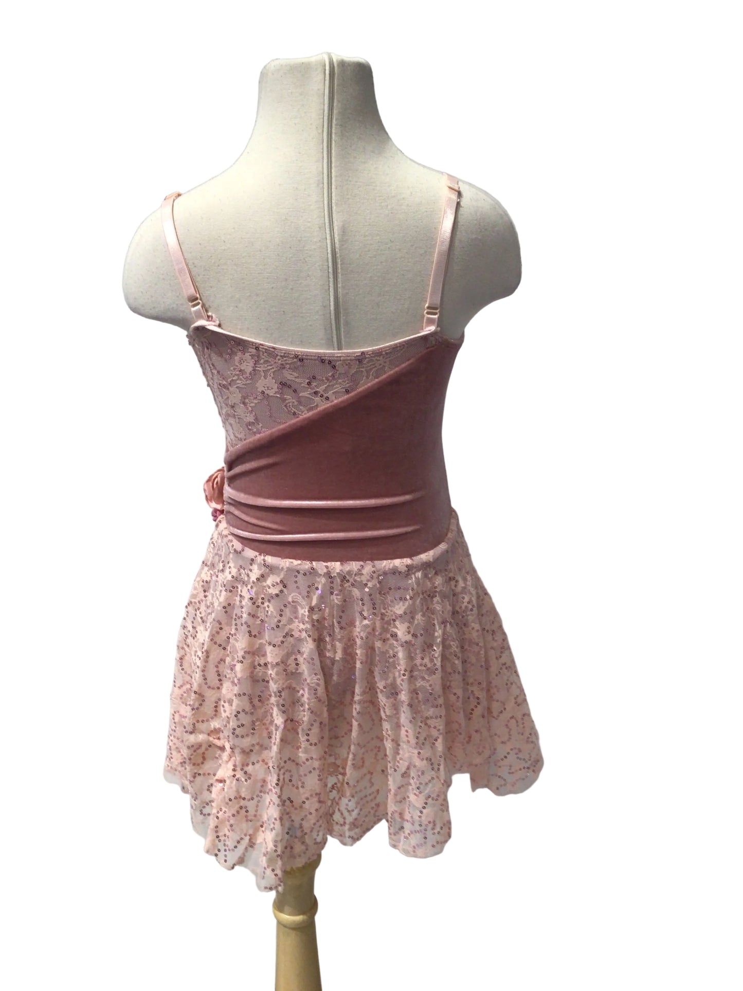 Light Pink Velvet Ballet Dress
