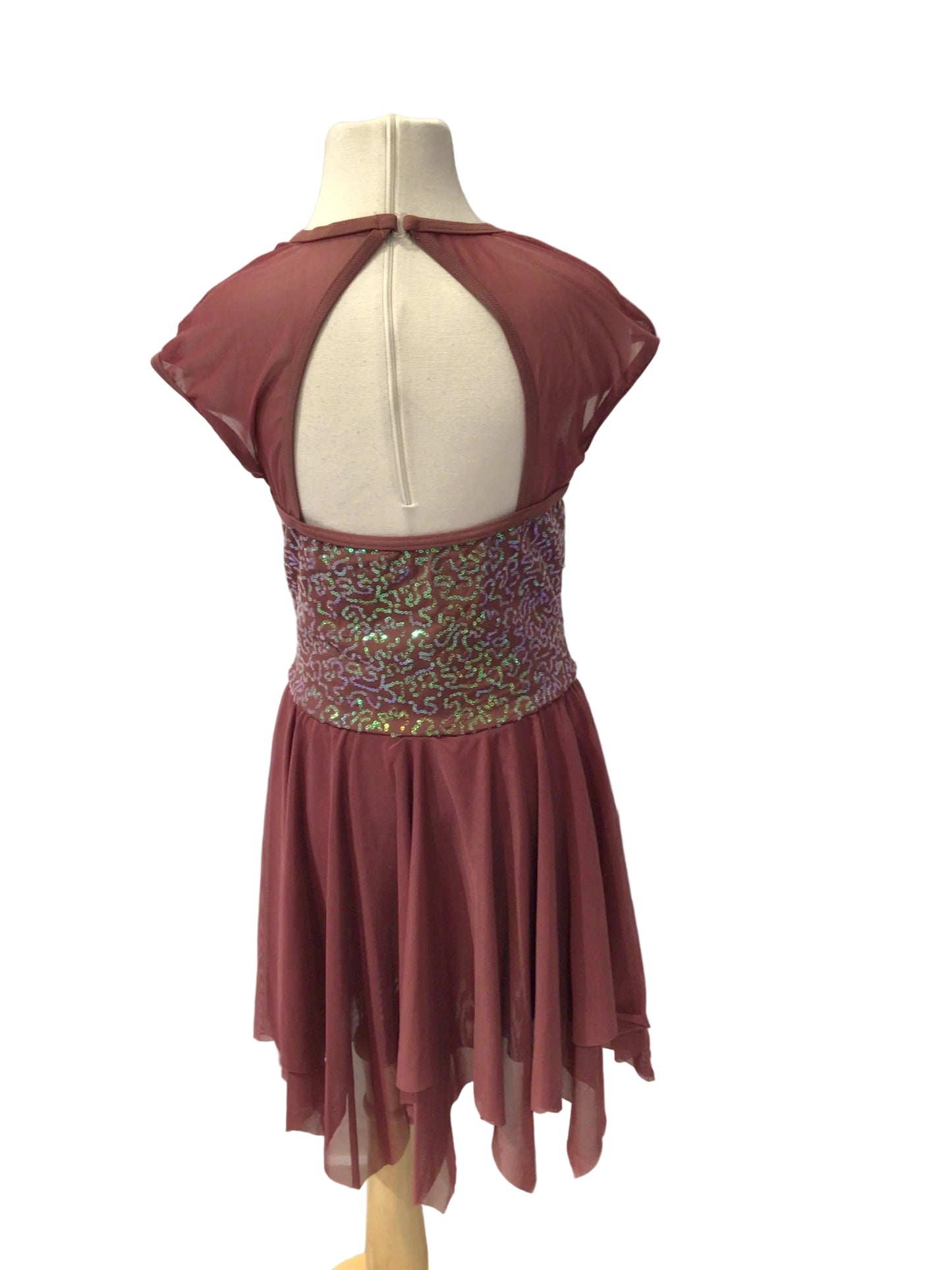 Mauve Lyrical Dress with Sequins