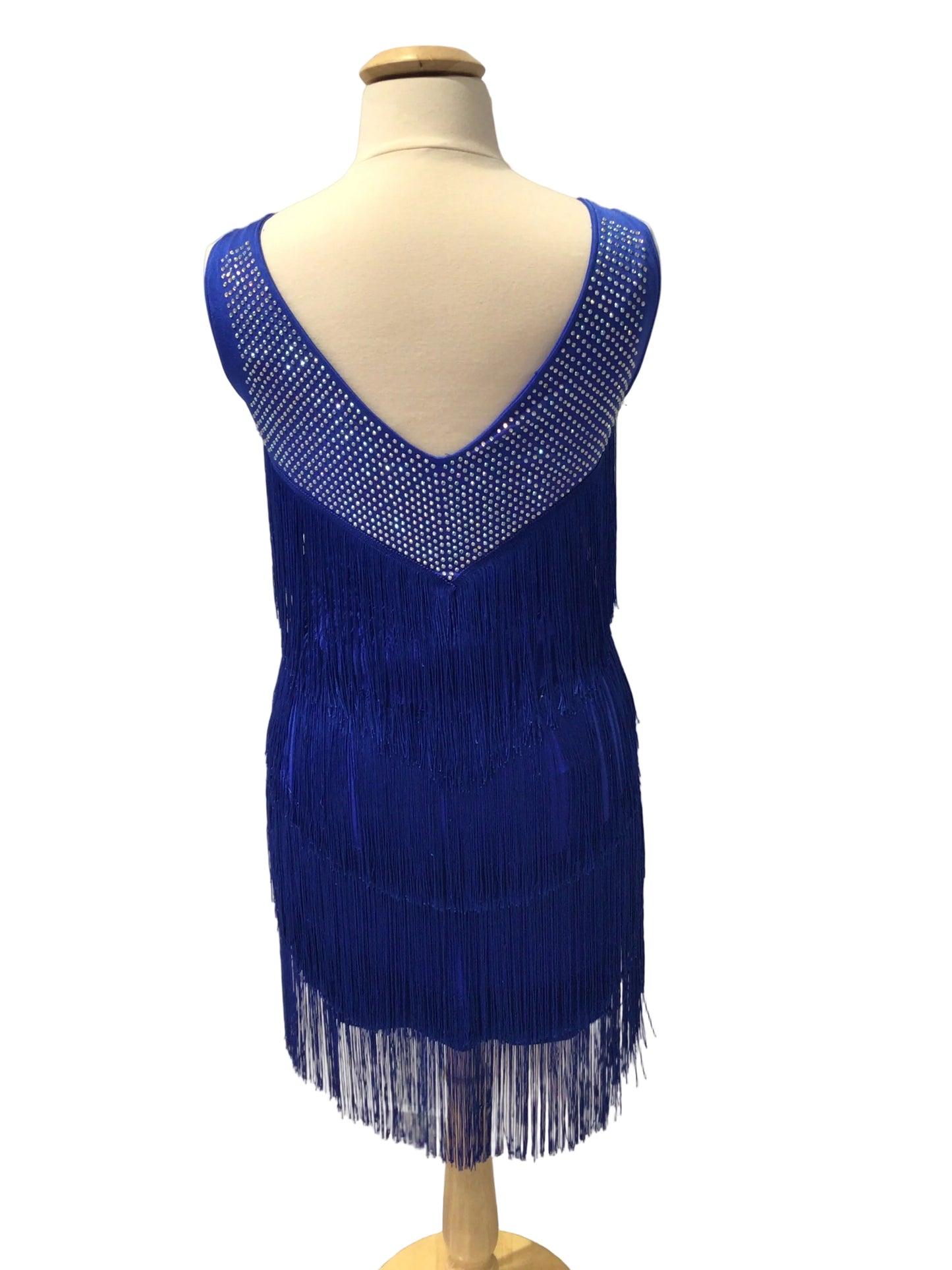 Purple or Blue Fringe Ballroom