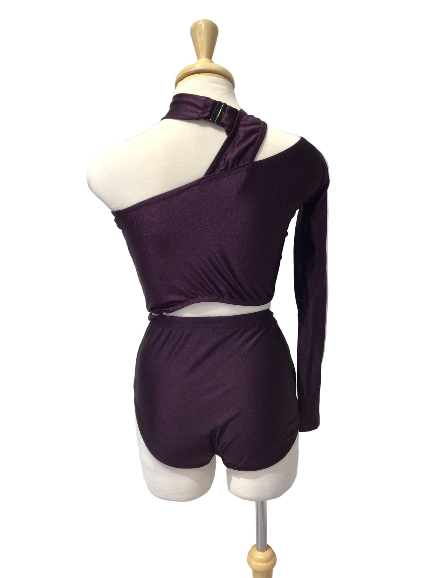 Dark Purple One Sleeve Top with Brief