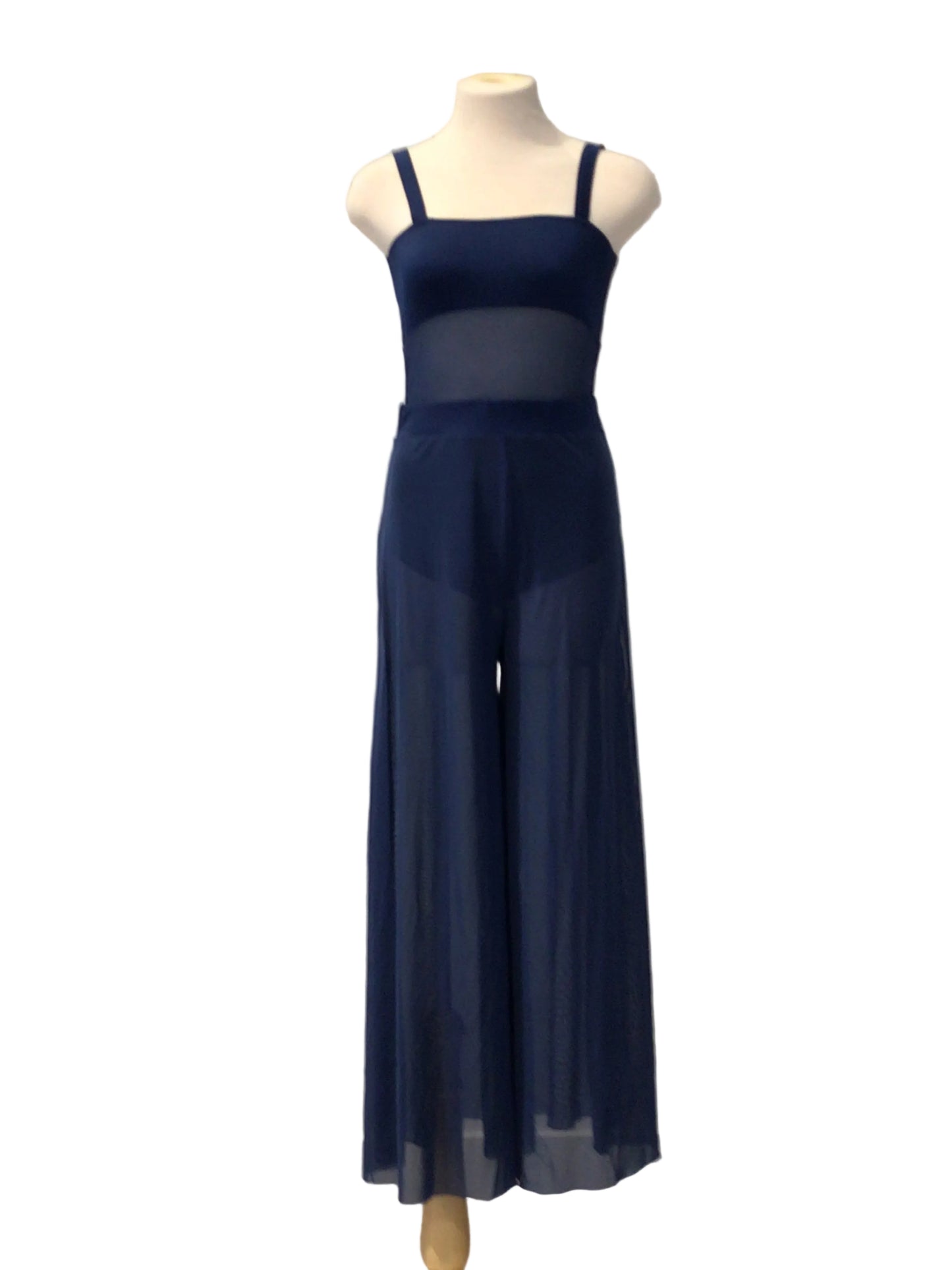 Two Piece Contemporary Blue Leotard and Mesh Pants Costume