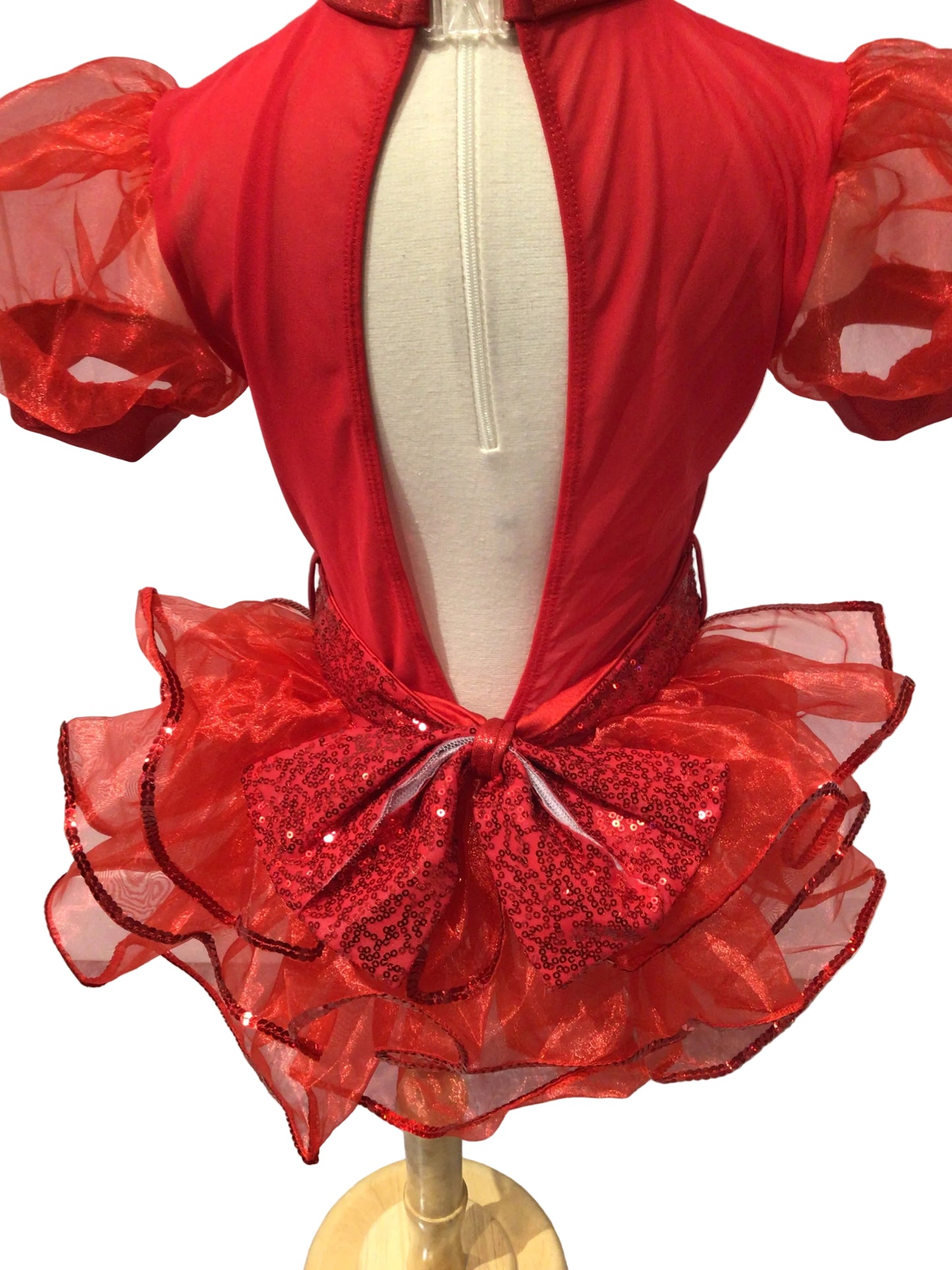 Red Leotard With Half Skirt Jazz