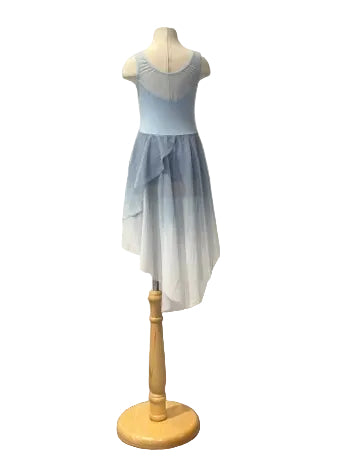 Light Blue Lyrical Dress