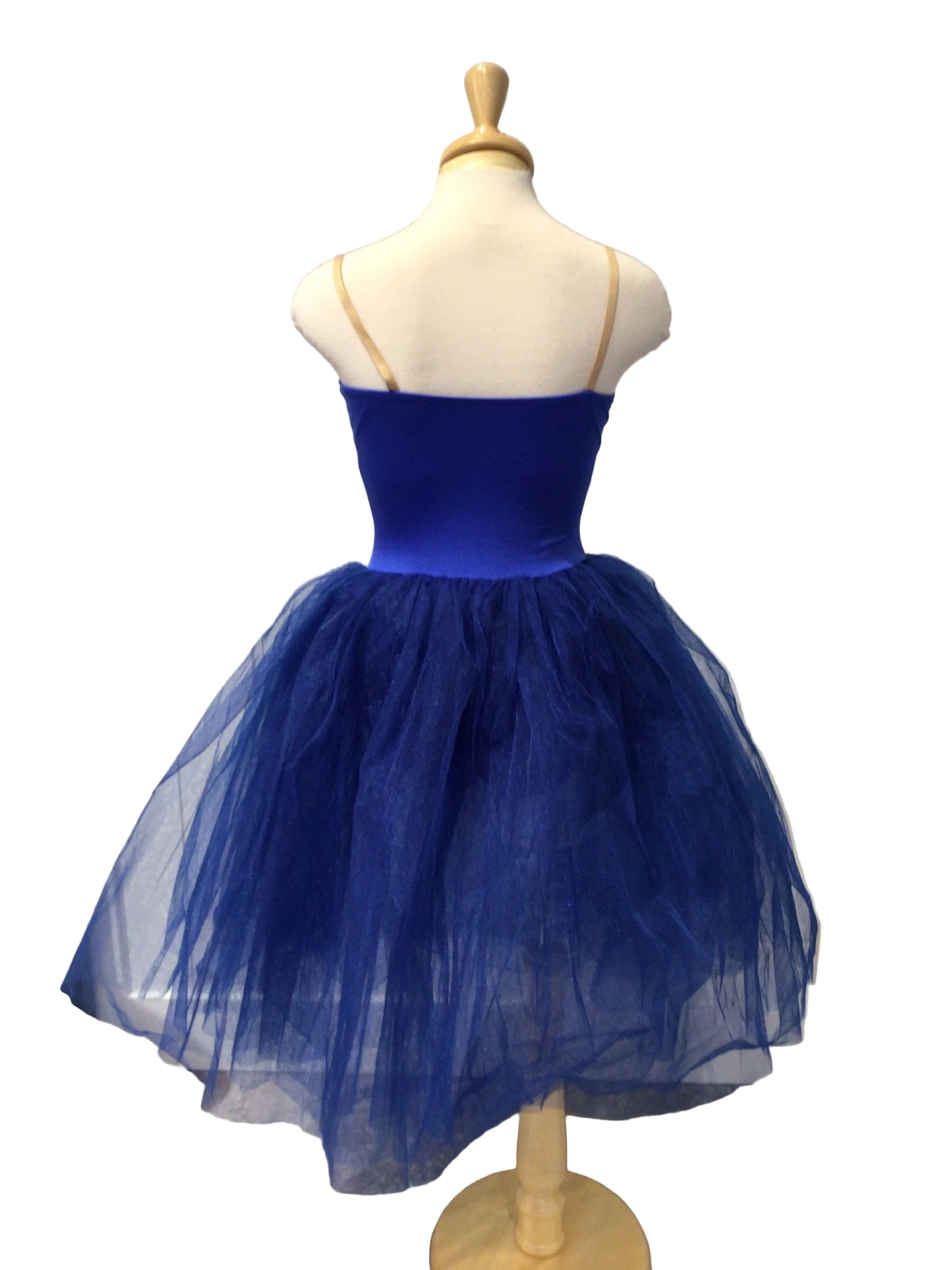 Blue Ballet Romantic Tutu with Sleeve Accessory