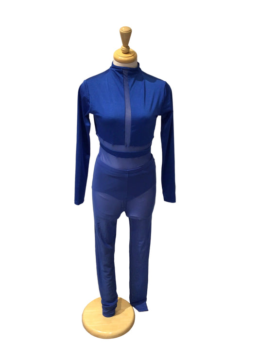 Royal Blue Long Sleeve Unitard with Mesh Pants