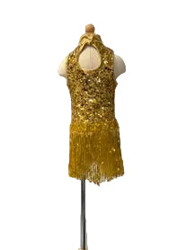 Gold Fringe Jazz Biketard
