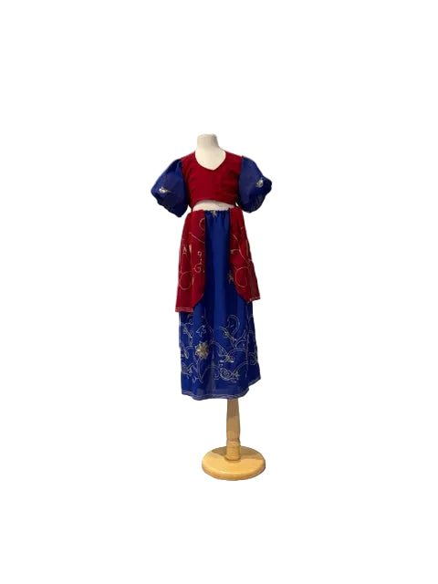 Blue and Red Poofy Sleeve Two Piece