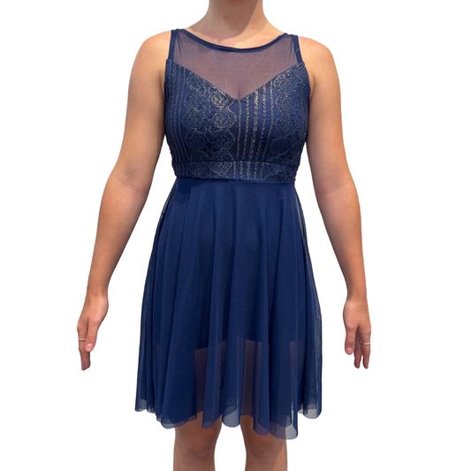 Lyrical Blue Mesh Dress With Gold Brocade