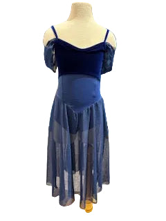 Navy Velvet and Mesh Long Dress