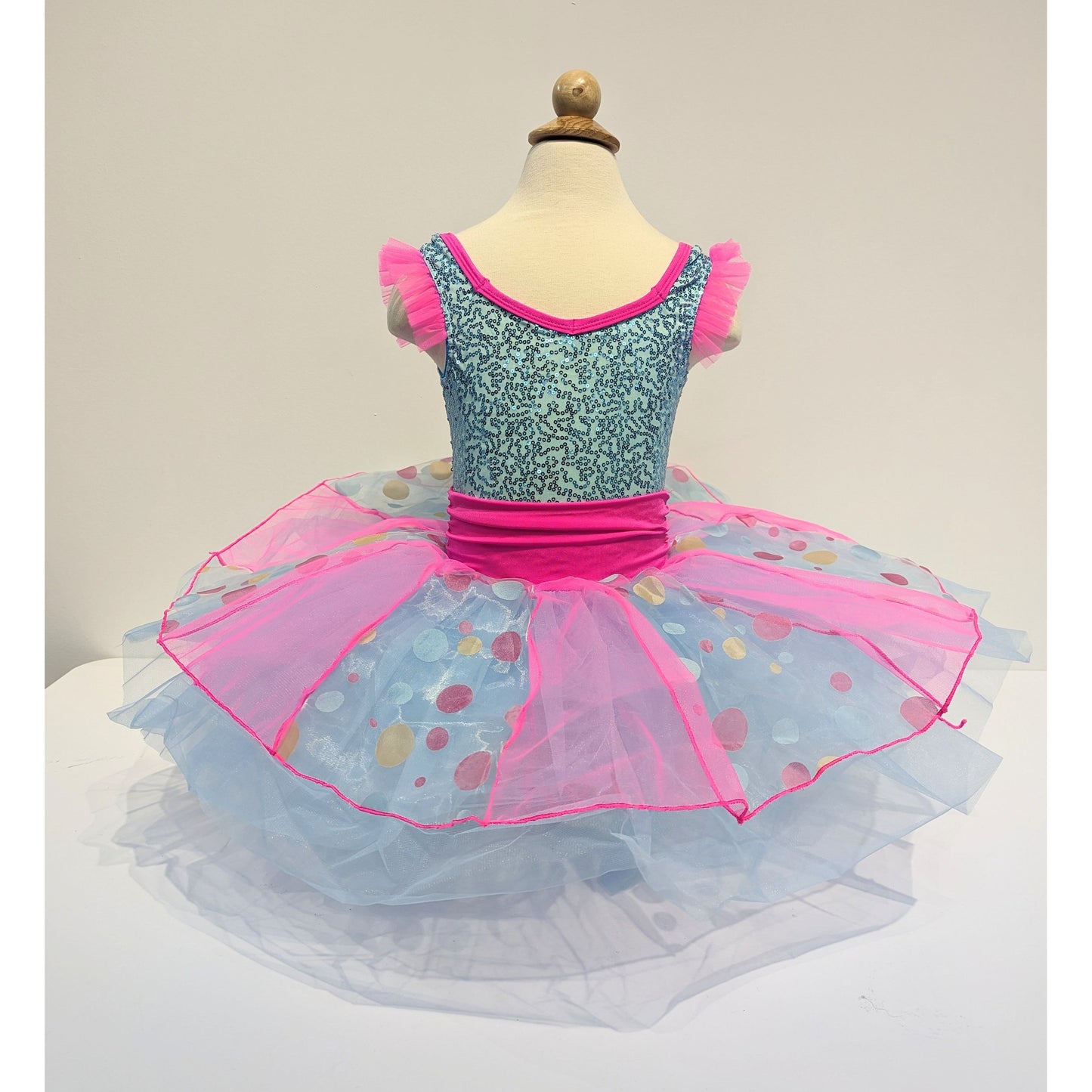 Childs Blue and Pink Ballet Dress