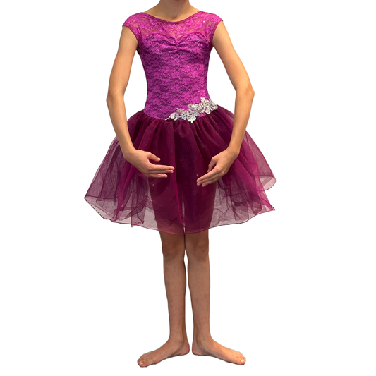 Hot Pink Ballet Tutu Custume