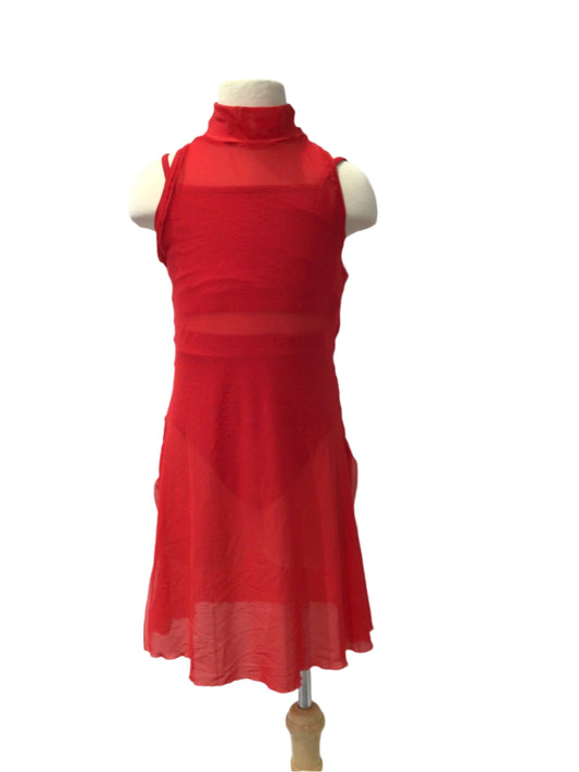 Red Mesh Dress with Top and Brief