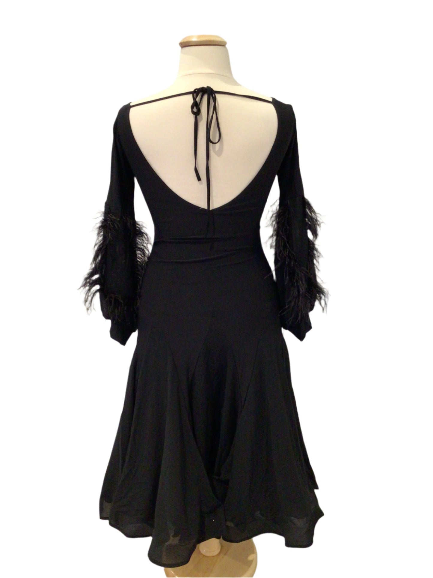 Black Long Sleeve Ballroom Dress with Feathers