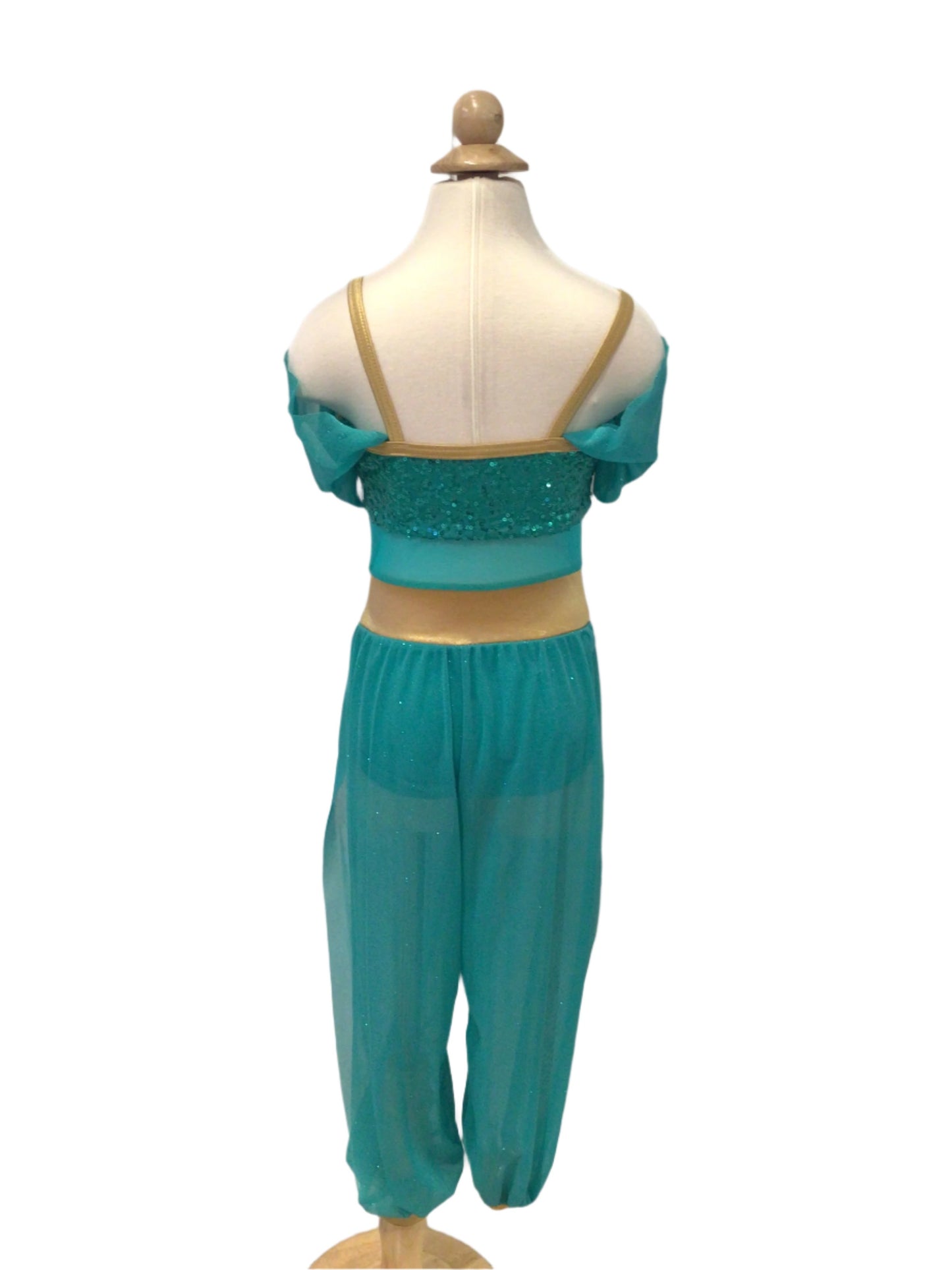 Blue Teal Genie Costume