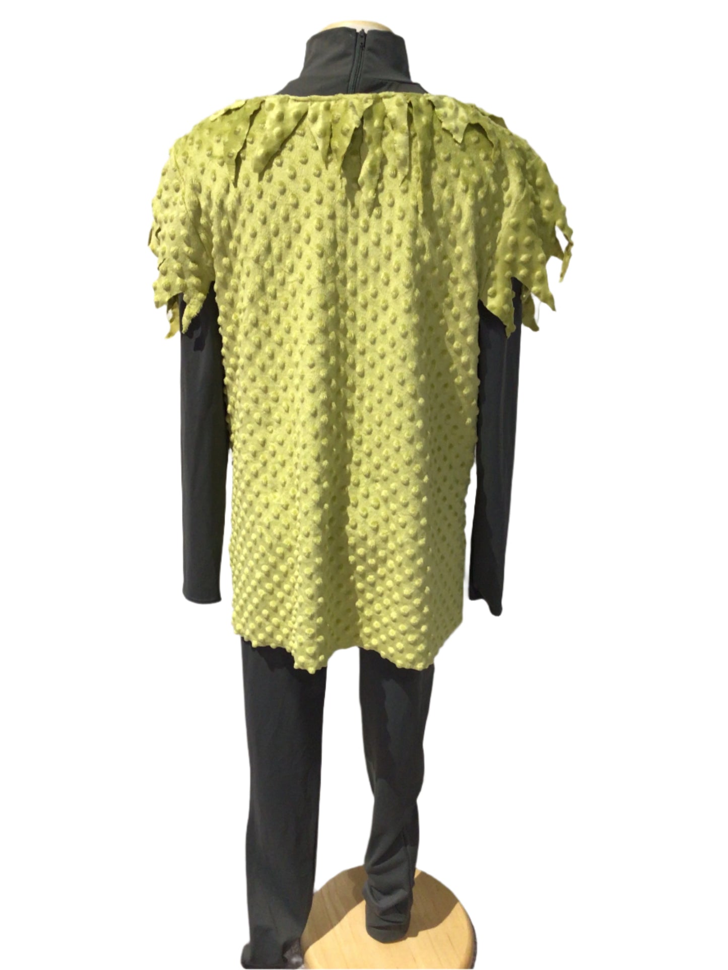 Green and Grey Costume