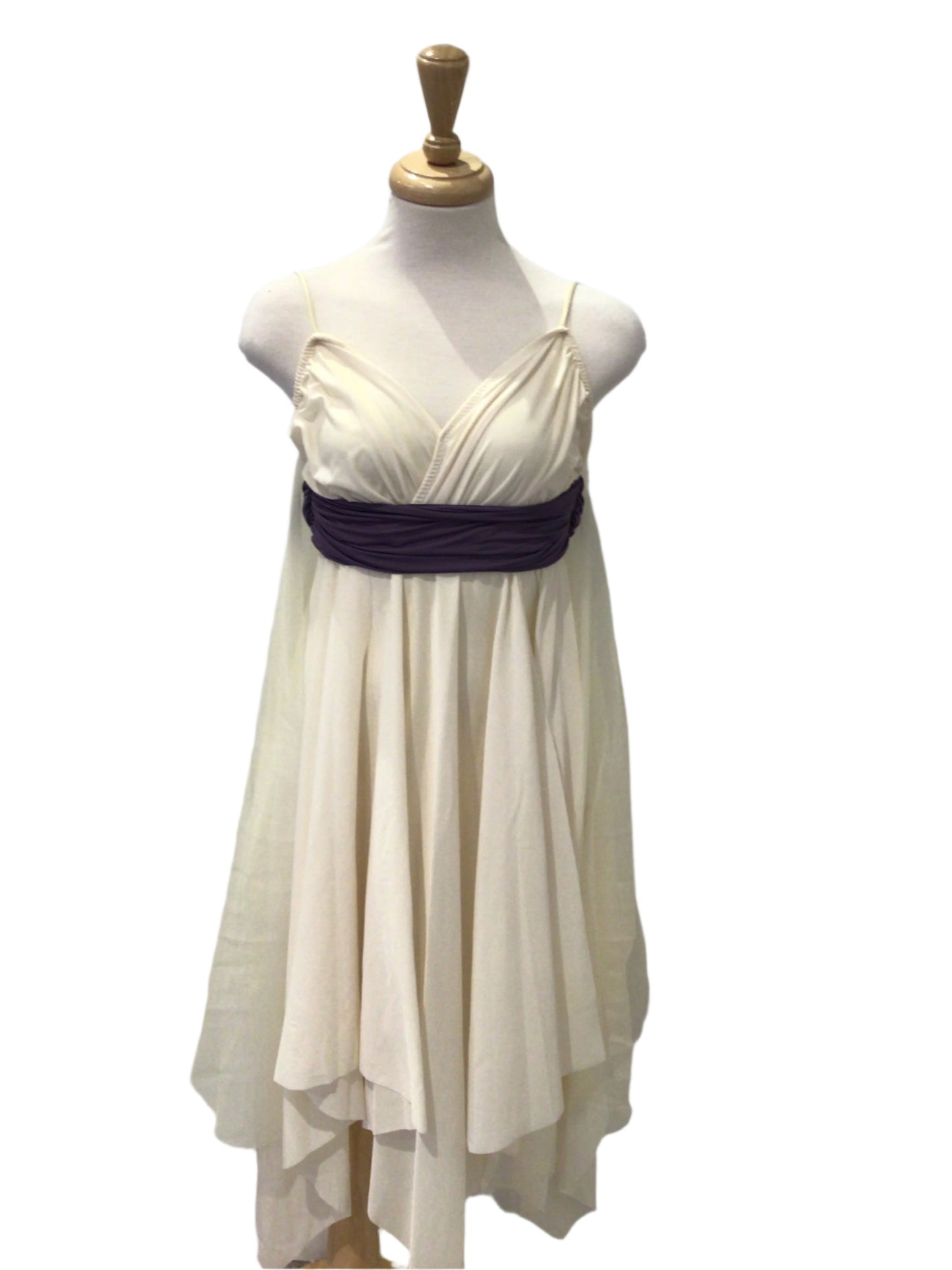 Cream and Purple Ballet Dress