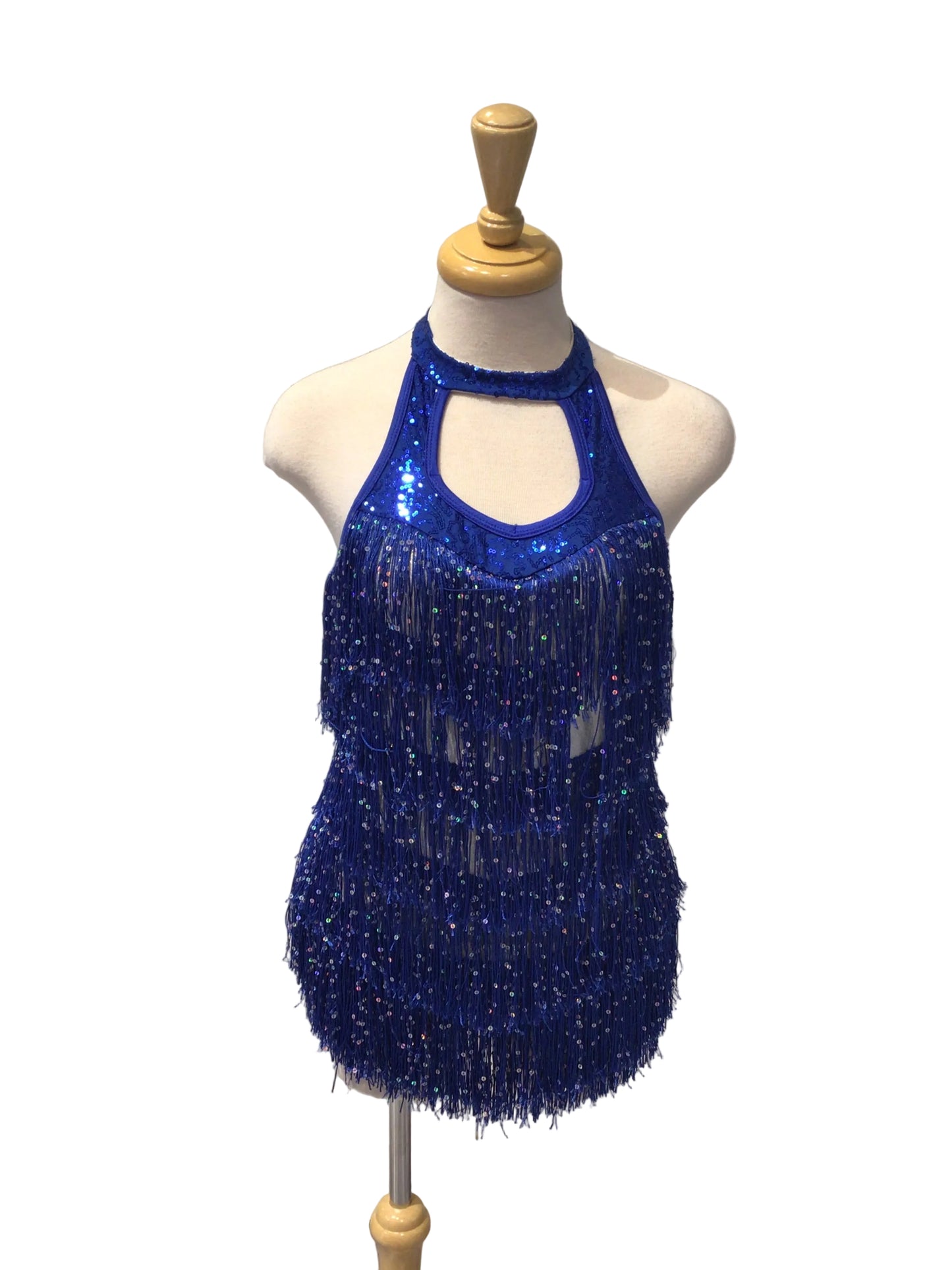 Silver and Blue Fringe Dress