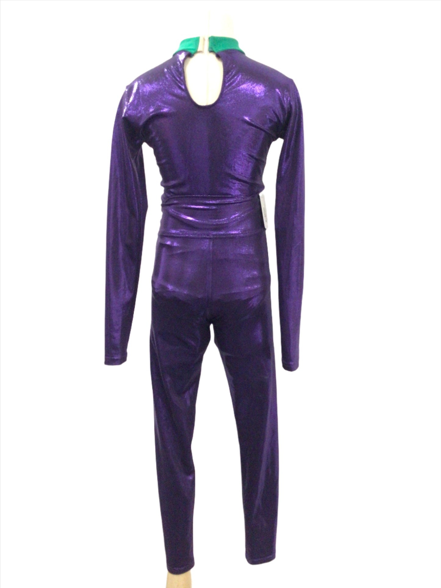 Shiny Purple Bodysuit and Pants