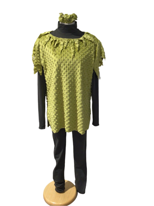 Light Green and Grey Costume
