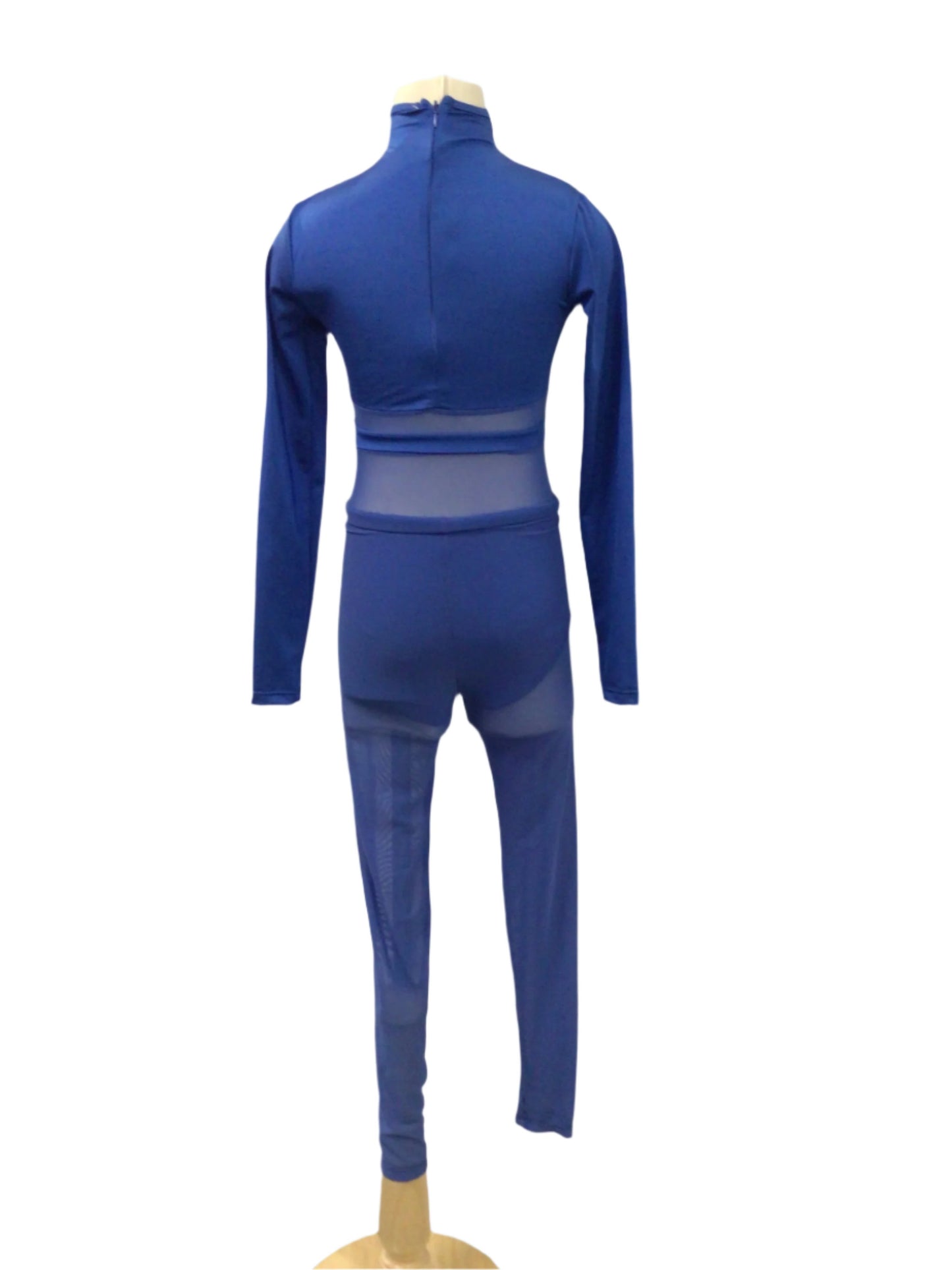 Royal Blue Unitard with Mesh Pants