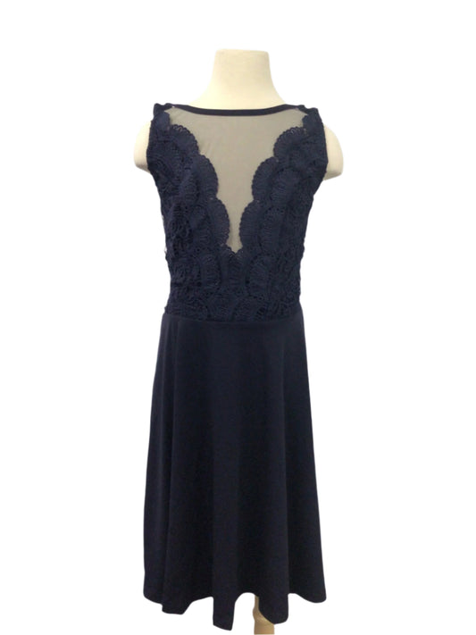 Navy Lace Lyrical Dress